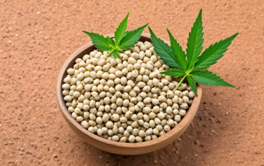 Амінокислотний склад насіння конопель